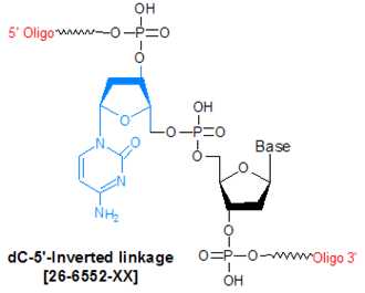 picture of Inverted dC (reverse linkage)